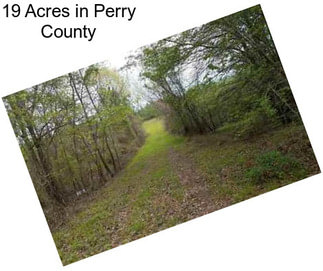 19 Acres in Perry County