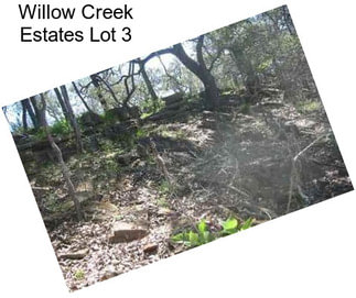 Willow Creek Estates Lot 3