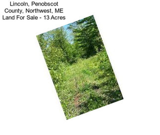 Lincoln, Penobscot County, Northwest, ME Land For Sale - 13 Acres