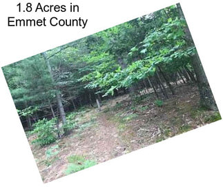 1.8 Acres in Emmet County