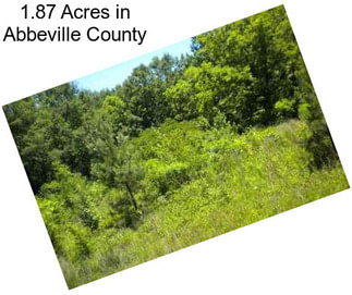 1.87 Acres in Abbeville County
