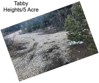 Tabby Heights/5 Acre