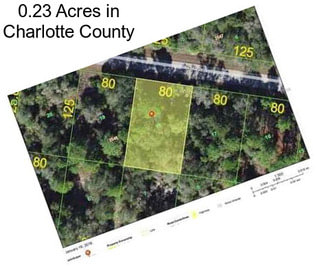 0.23 Acres in Charlotte County