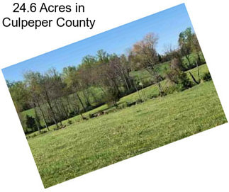 24.6 Acres in Culpeper County