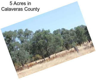 5 Acres in Calaveras County