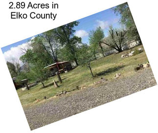 2.89 Acres in Elko County