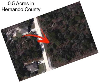 0.5 Acres in Hernando County