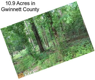 10.9 Acres in Gwinnett County