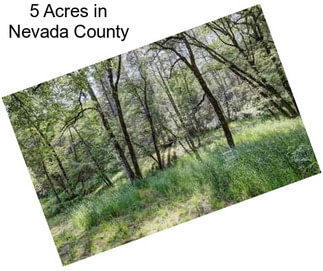 5 Acres in Nevada County