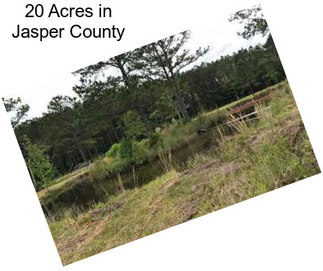 20 Acres in Jasper County