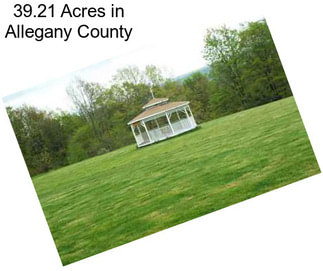 39.21 Acres in Allegany County