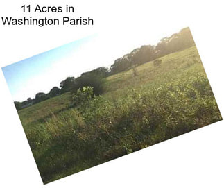 11 Acres in Washington Parish