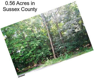 0.56 Acres in Sussex County
