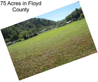 75 Acres in Floyd County