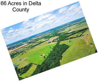 66 Acres in Delta County