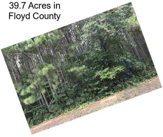 39.7 Acres in Floyd County