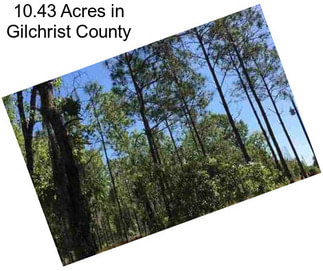 10.43 Acres in Gilchrist County