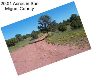 20.01 Acres in San Miguel County