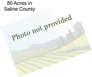80 Acres in Saline County