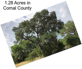 1.28 Acres in Comal County