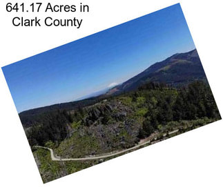 641.17 Acres in Clark County