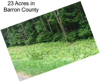 23 Acres in Barron County
