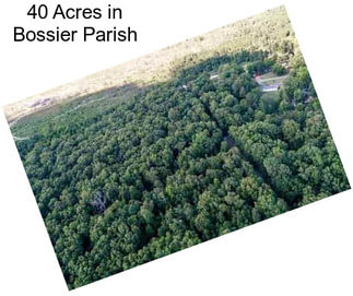 40 Acres in Bossier Parish