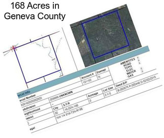 168 Acres in Geneva County