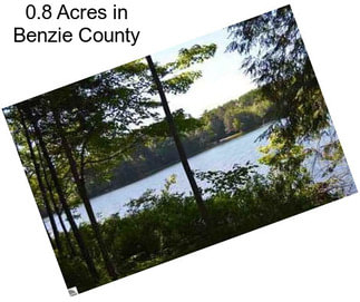 0.8 Acres in Benzie County