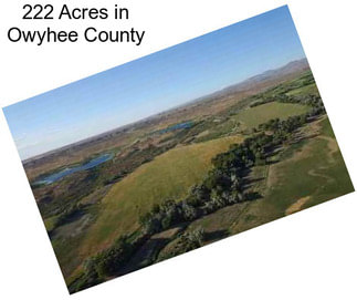 222 Acres in Owyhee County