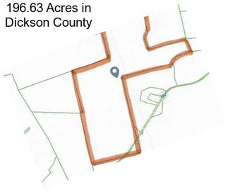 196.63 Acres in Dickson County