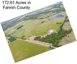 172.61 Acres in Fannin County