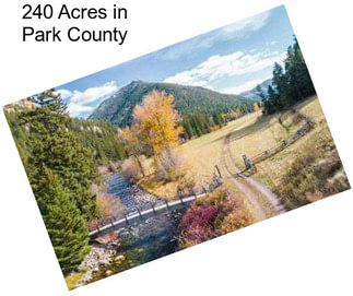 240 Acres in Park County