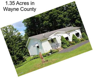 1.35 Acres in Wayne County