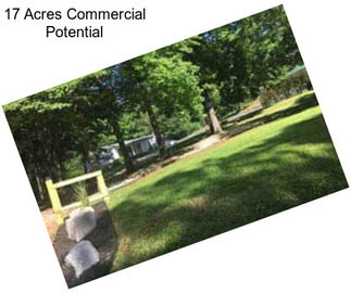 17 Acres Commercial Potential