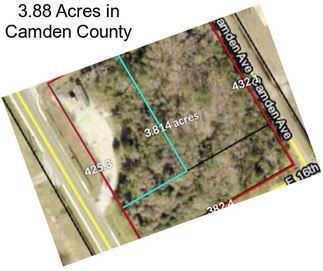 3.88 Acres in Camden County