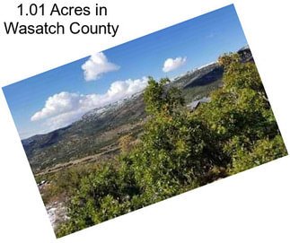 1.01 Acres in Wasatch County