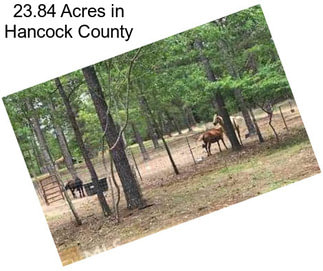 23.84 Acres in Hancock County