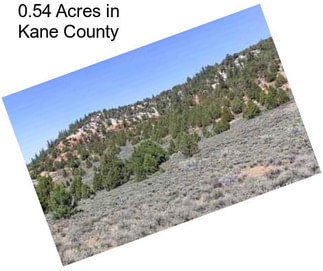 0.54 Acres in Kane County