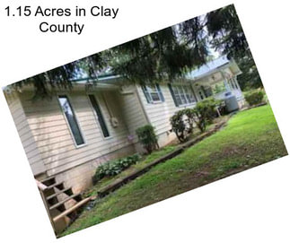 1.15 Acres in Clay County