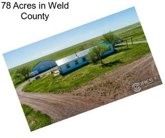 78 Acres in Weld County