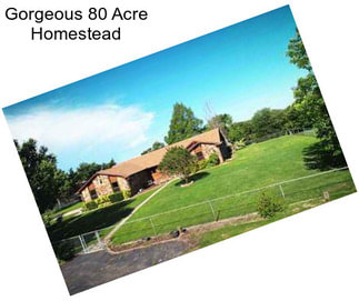 Gorgeous 80 Acre Homestead