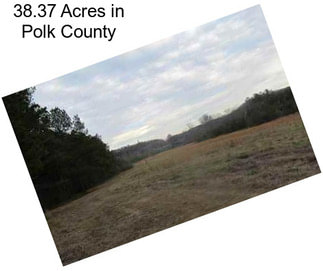 38.37 Acres in Polk County