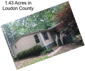 1.43 Acres in Loudon County