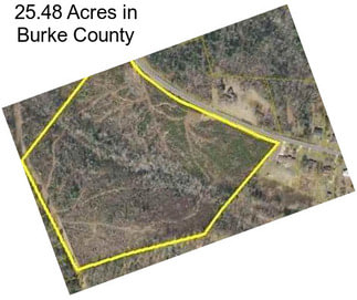 25.48 Acres in Burke County