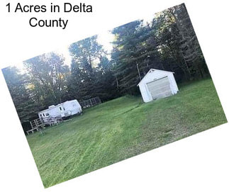 1 Acres in Delta County