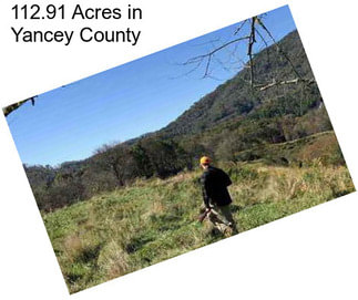 112.91 Acres in Yancey County