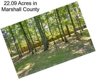 22.09 Acres in Marshall County