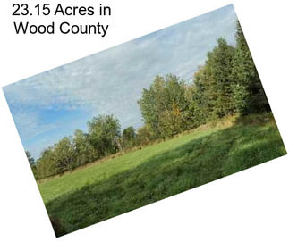 23.15 Acres in Wood County