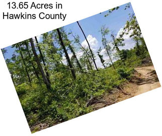 13.65 Acres in Hawkins County